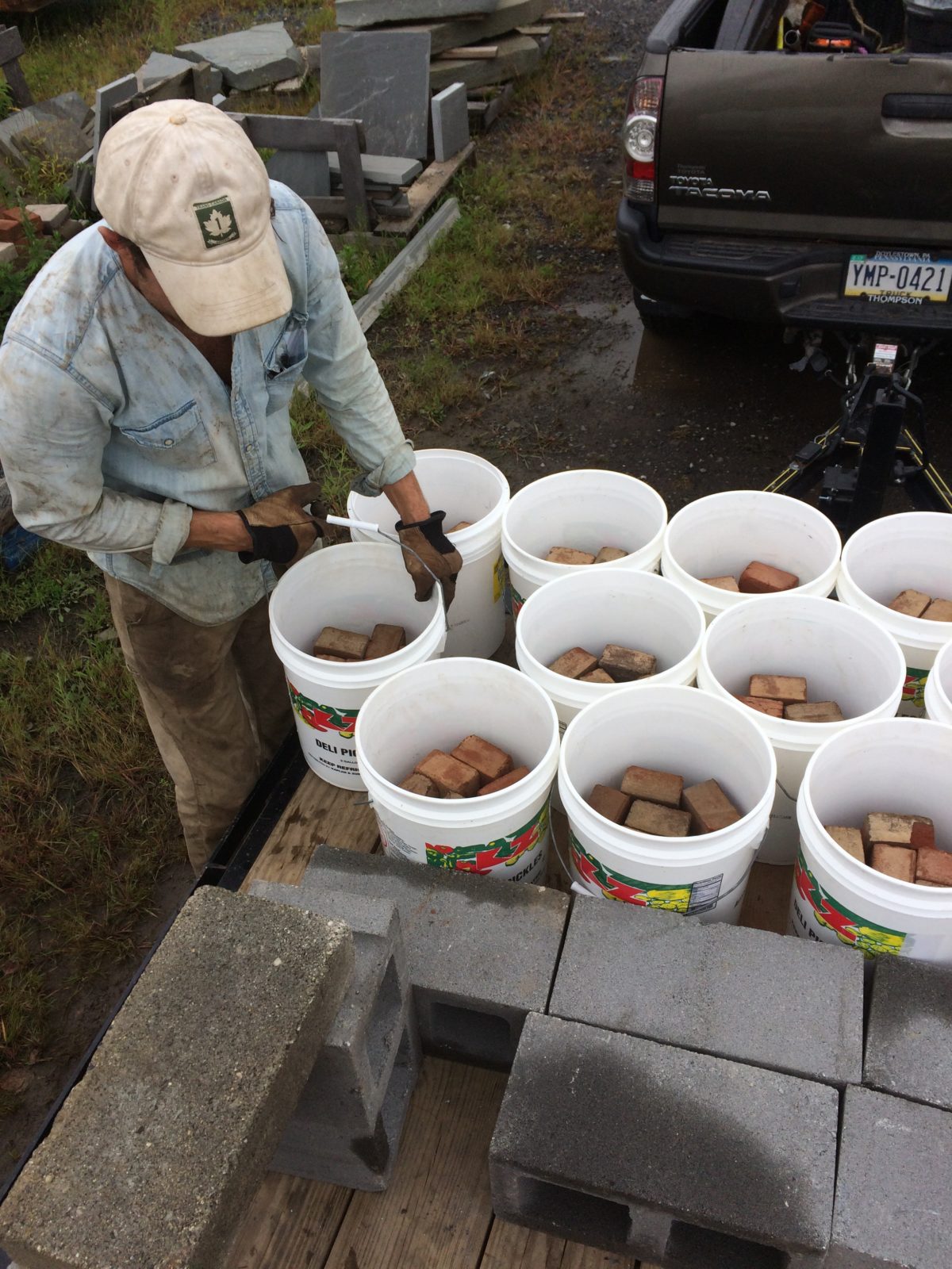 Large-scale Frogs for Doylestown Parking Day bamboo arrangements